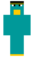 wzl minecraft skin