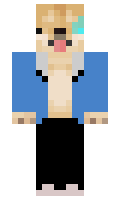 92558ae3817b28 minecraft skin
