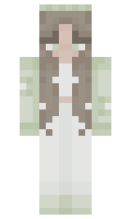 92569c4ce2c42b minecraft skin