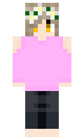 9285ddf7ee0e71 minecraft skin