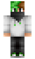 nez minecraft skin