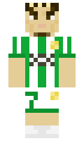 vojtak48 minecraft skin
