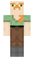 DzPro minecraft skin