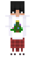 spiderlance minecraft skin