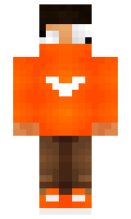 690 minecraft skin