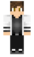 931d08e637681f minecraft skin