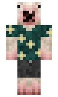 BuffaloQuasar minecraft skin