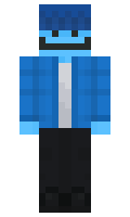 squidu minecraft skin