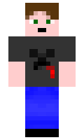 93cf1c9673bf46 minecraft skin