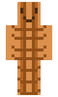ZeldaLord1 minecraft skin