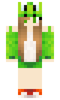 kjsassy minecraft skin