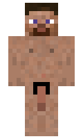 93faceb5d81302 minecraft skin