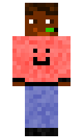 RadDolphin777 minecraft skin