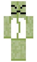 MrsMigg minecraft skin