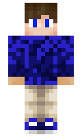 faul minecraft skin