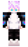 HordyXD minecraft skin