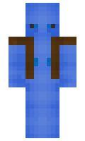 9463c51a5d807c minecraft skin