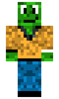 salat minecraft skin