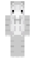 Informator minecraft skin