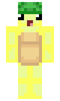 949dfb7de1f987 minecraft skin