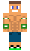 skamm minecraft skin