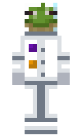 WinierNoobula minecraft skin