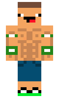 pidil minecraft skin