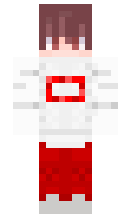 Denkagames minecraft skin