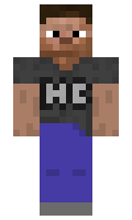 9513d6899d82dc minecraft skin