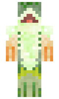 9524d731dc5677 minecraft skin