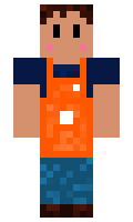 Logibear2902 minecraft skin