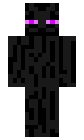 953a7dd2dc4569 minecraft skin