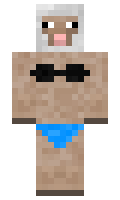 956296a5f523d6 minecraft skin