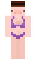 95803a1a405c88 minecraft skin