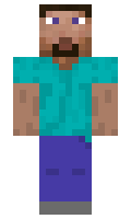 aaye minecraft skin