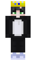 95df6b966b1c20 minecraft skin