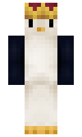 WalkerPro19 minecraft skin