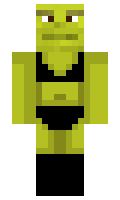 96081c700d1289 minecraft skin