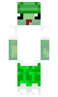 Domislav minecraft skin