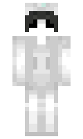 96303f49063d65 minecraft skin