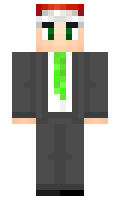 965d5b3db8a249 minecraft skin