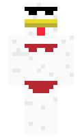 23244 minecraft skin