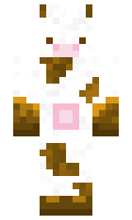 966b9b1bcd6a1d minecraft skin