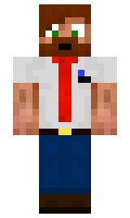 Wilmerbigge minecraft skin