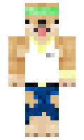 nhopedro minecraft skin