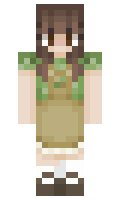 biaa minecraft skin