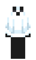Spidey4511 minecraft skin