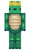 MiniGamer minecraft skin