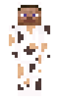 96fb0e6caad0c1 minecraft skin