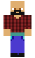 96fd9b6be2fd71 minecraft skin